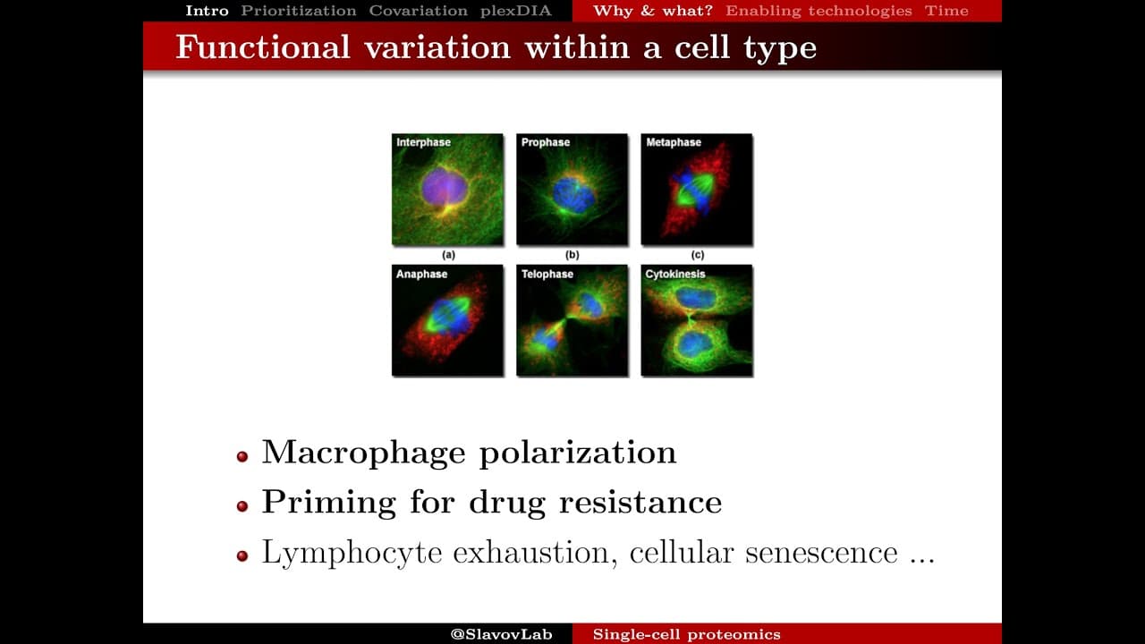 Exploring functional protein covariation across single cells | Prof. Nikolai Slavov | SCP2022